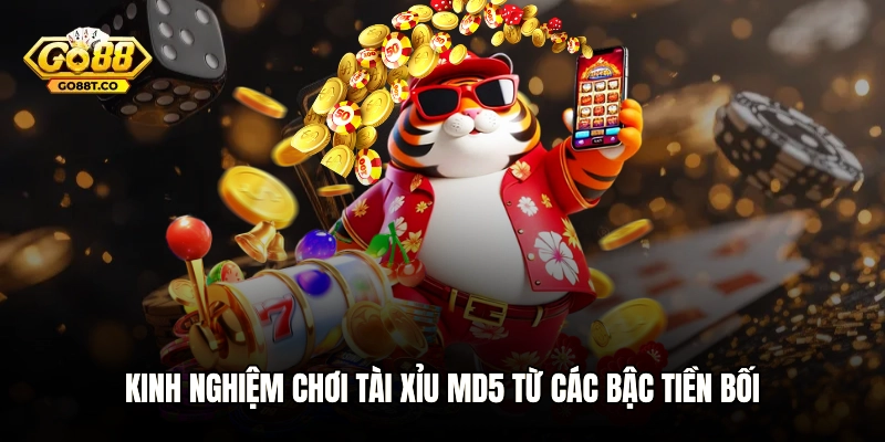 Kinh nghiệm chơi Tài xỉu MD5 từ các bậc tiền bối